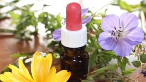 natural medicine, flower essences, natural